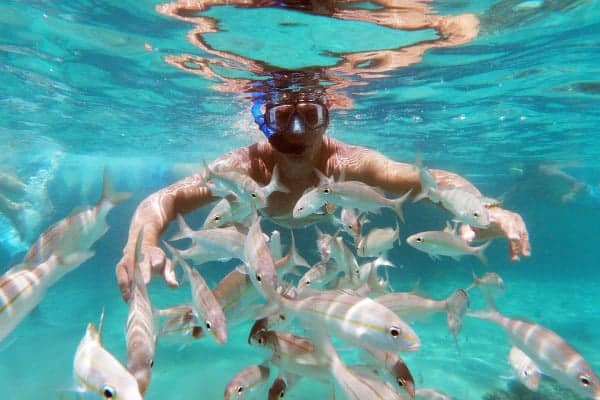 Maracajaú - Best places to dive