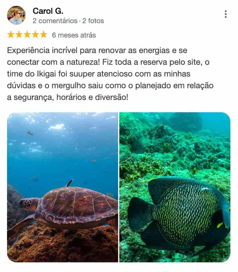 retroalimentación de buceo