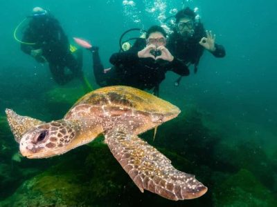Diving Arraial do Cabo 02