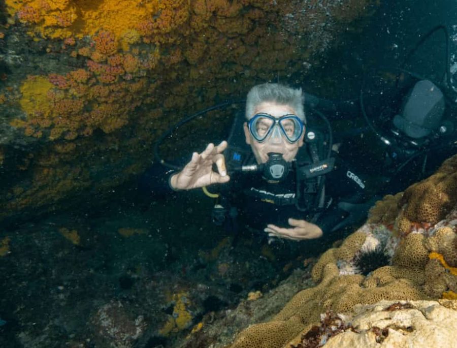Arraial do Cabo Diving - Accredited