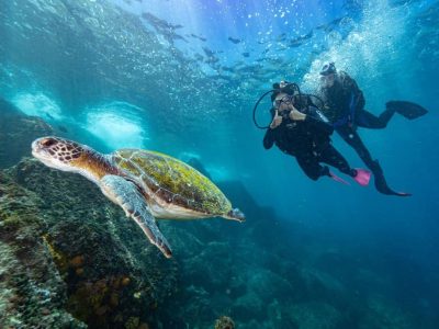 Arraial do Cabo dive 12