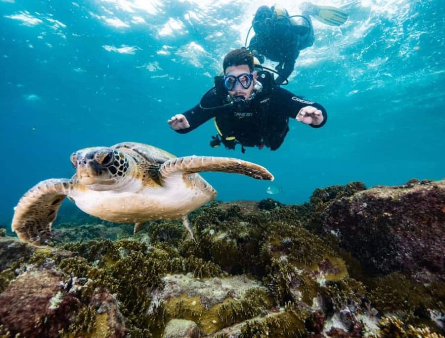 Arraial do Cabo scuba diving for beginners