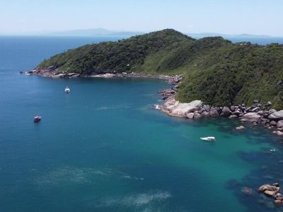 Mergulho Bombinhas - Ilha do Arvoredo 01