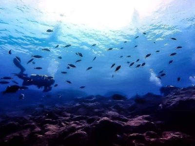 Cabo Frio Scuba Diving