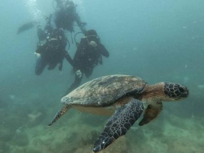 Cabo Frio Scuba Diving