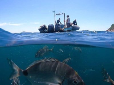 buceo en florianópolis