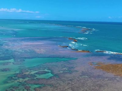 Mergulho Maragogi e São José da Coroa Grande 01