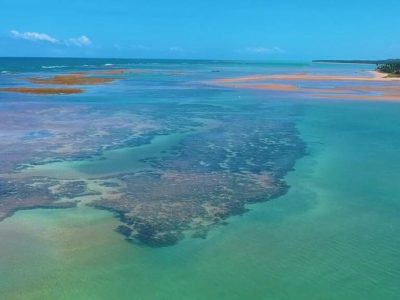 Mergulho Maragogi e São José da Coroa Grande 04