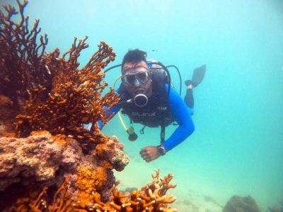 Mergulho Maragogi e São José da Coroa Grande 25