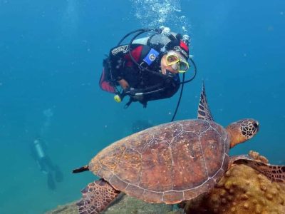 Buceo Paraty para principiantes