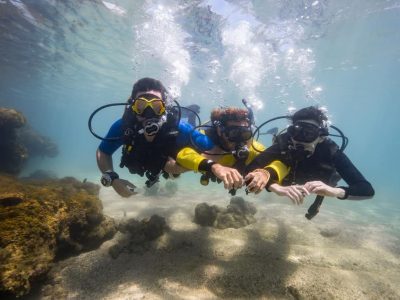 Mergulho Porto de Galinhas