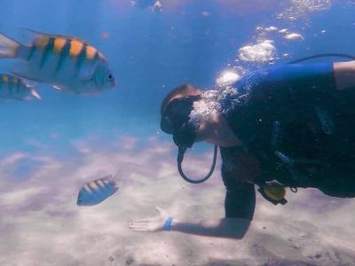 Mergulho Porto de Galinhas - Trilha dos Corais para Credenciados