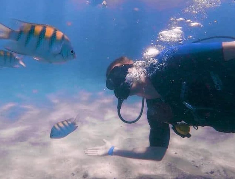 Mergulho Porto de Galinhas - Trilha dos Corais para Credenciados