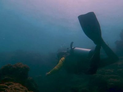 Mergulho Porto de Galinhas