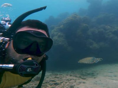 Mergulho Porto de Galinhas