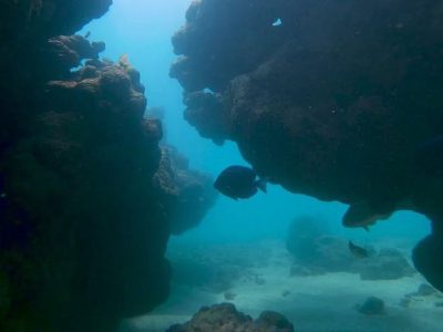 Mergulho Porto de Galinhas