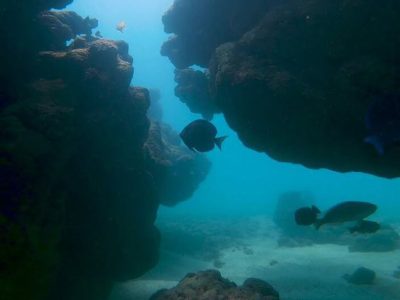 Mergulho Porto de Galinhas