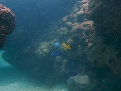 Buceo Porto de Galinhas
