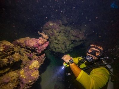 Mergulho Porto de Galinhas