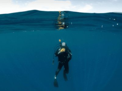 Diving Ubatuba