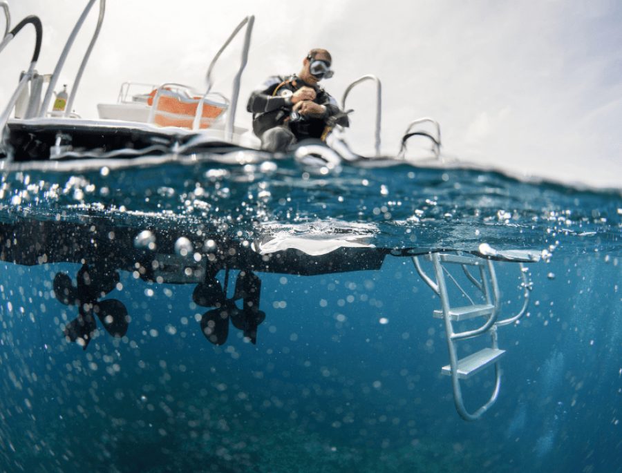 Buceo Ubatuba - Ilha Anchieta