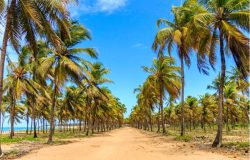 puerto-de-pollos city3