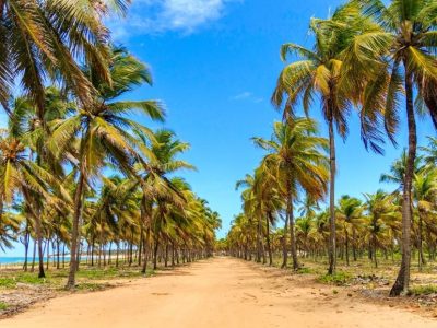 puerto-de-pollos city3