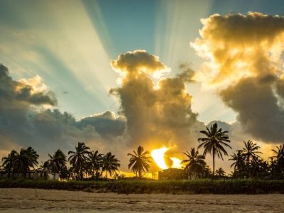 puerto-de-pollos city4