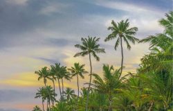 cidade-porto-de-galinhas5
