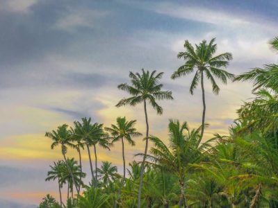 puerto-de-pollos city5