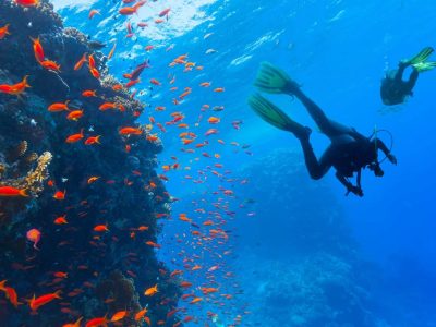 mergulho-abrolhos5