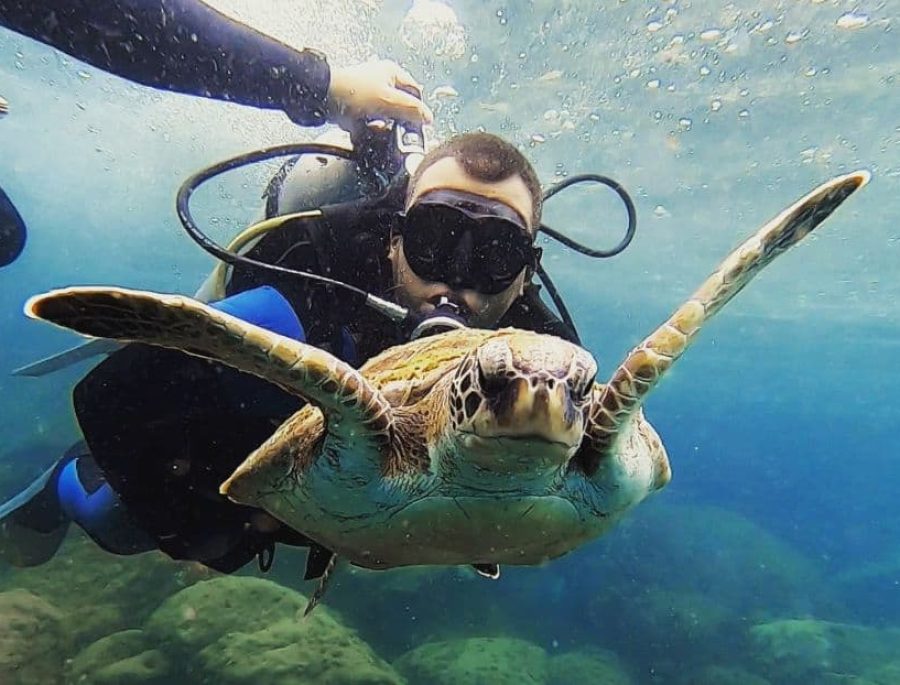 mergulho angra dos reis