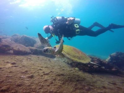 buceo angra dos reyes