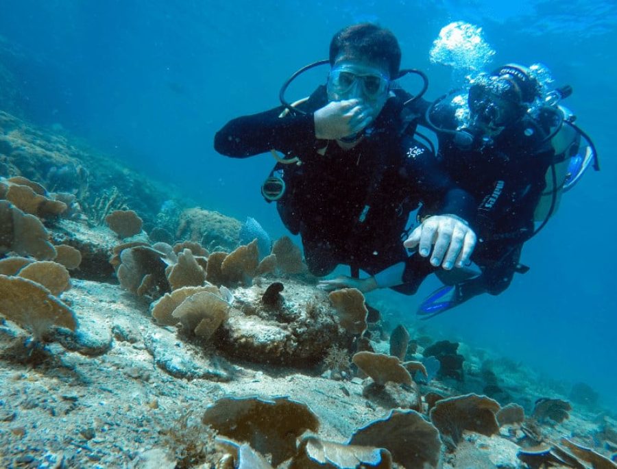 Búzios Scuba Diving - Embarked