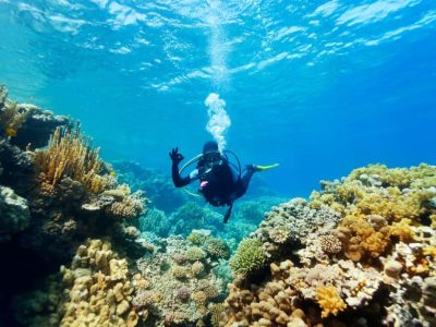 diving certification course