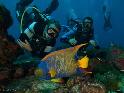 Mergulho Fernando de Noronha