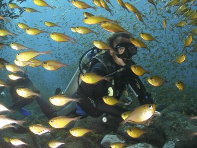 Mergulho Fernando de Noronha
