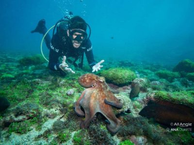 mergulho-fernando-de-noronha11