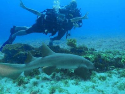 mergulho-fernando-de-noronha12