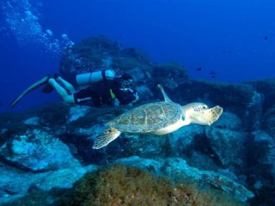 mergulho-fernando-de-noronha8