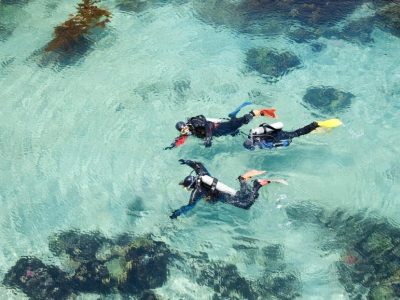 Jericoacoara diving for beginners