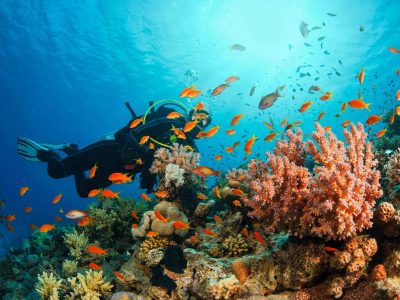 mergulho-maceio03