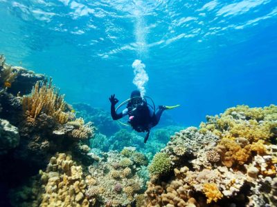 mergulho-maceio04