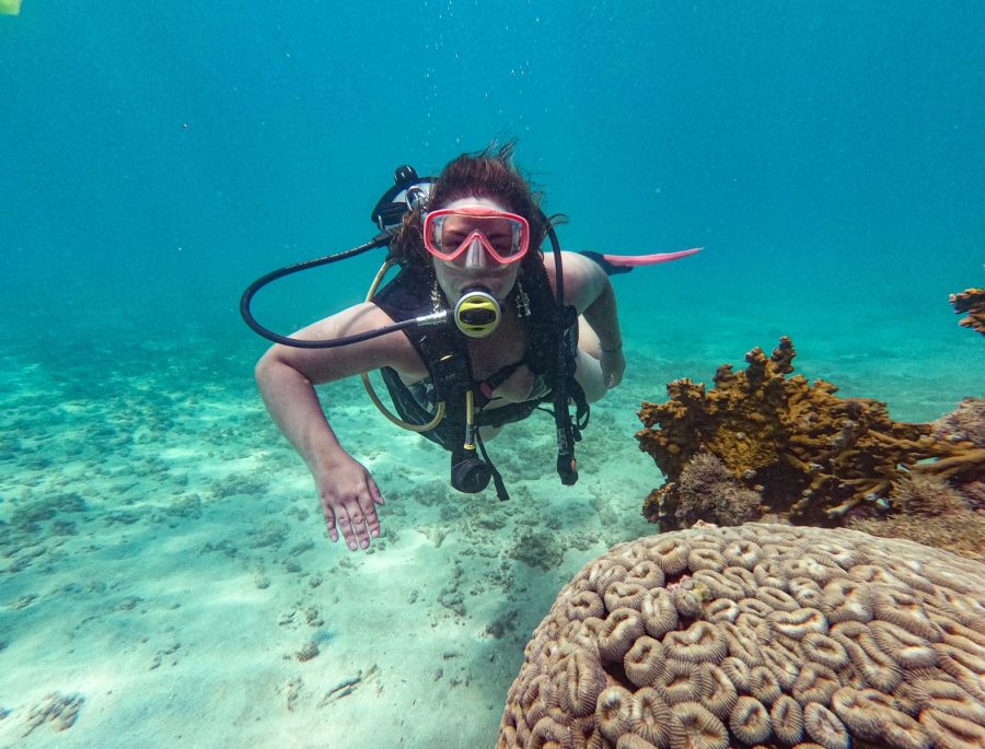 Maragogi Diving - Barrier Reef - Ikigai Experience