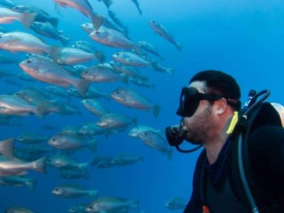 Natal Scuba Diving for Beginners