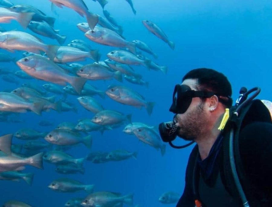 Natal Scuba Diving for Beginners