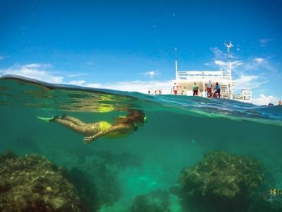 parrachos de maracajau