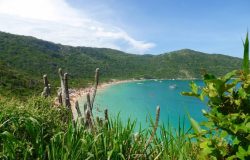 passeios-arraial-do-cabo1
