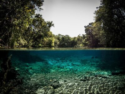 Bonito - Tours