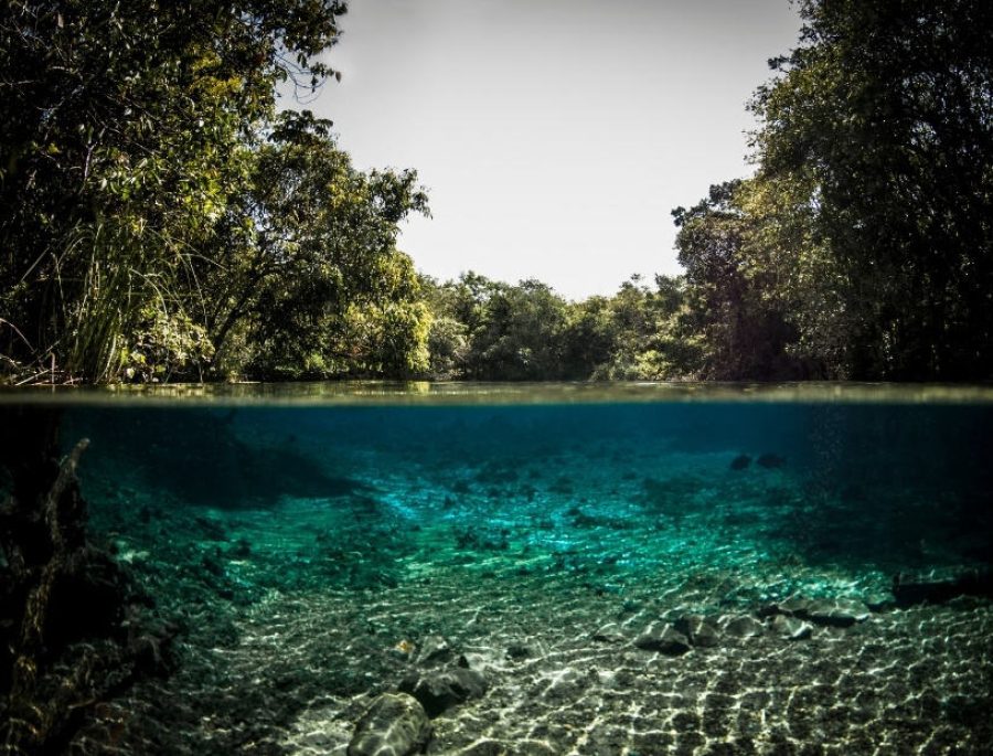 Bonito - Excursiones